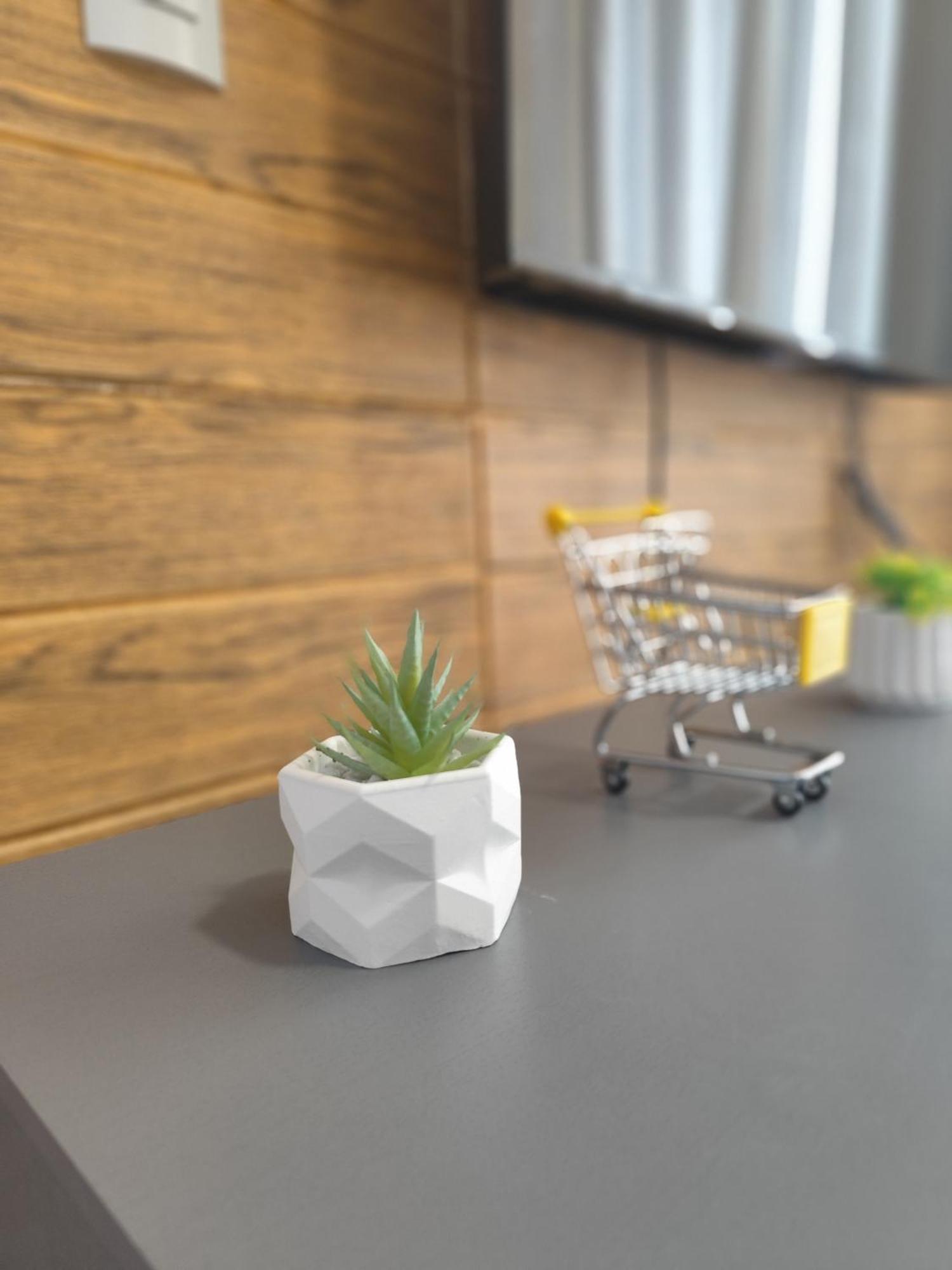 Novo Com Jardim Privativo! Apartamento Fortaleza (Ceara)